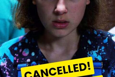 Stranger Things S5 Controversy
